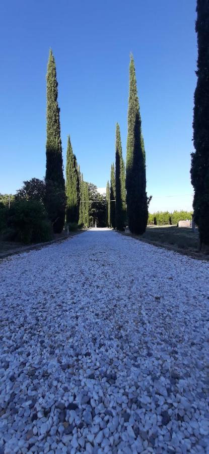B&B Agriturismo Regno Di Toscana โคลเลซัลเวตติ ภายนอก รูปภาพ