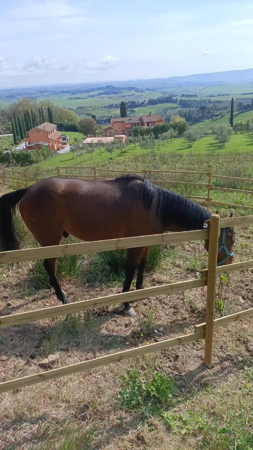 B&B Agriturismo Regno Di Toscana โคลเลซัลเวตติ ภายนอก รูปภาพ